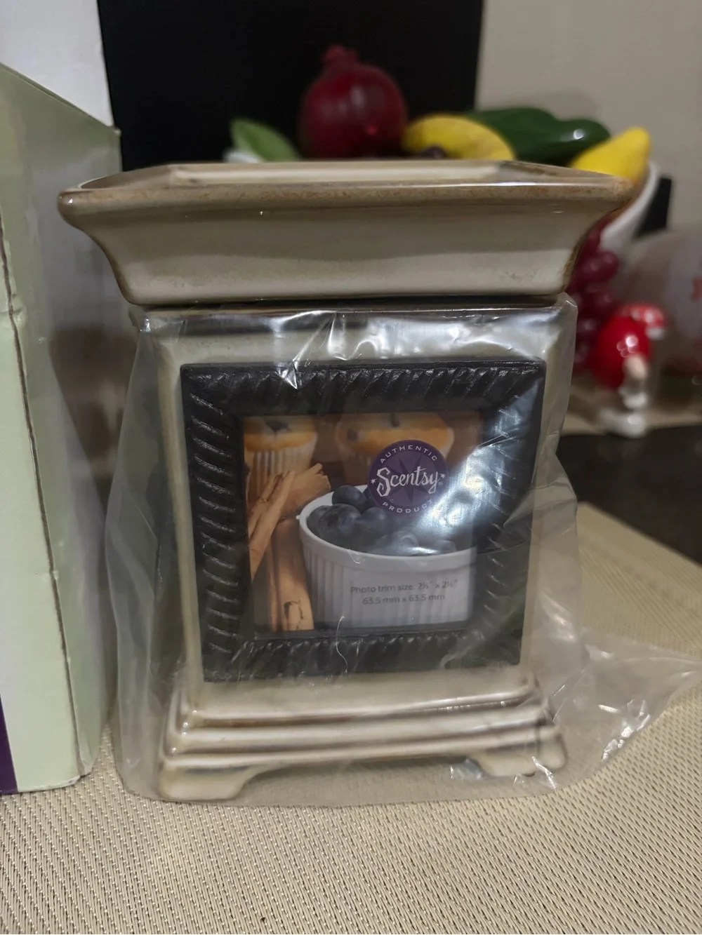 Scentsy DSW Snap Full Size Scented Wax Warmer w/ Snapshot Photo Frame Retired